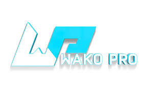 WAKO PRO announces international training for referees