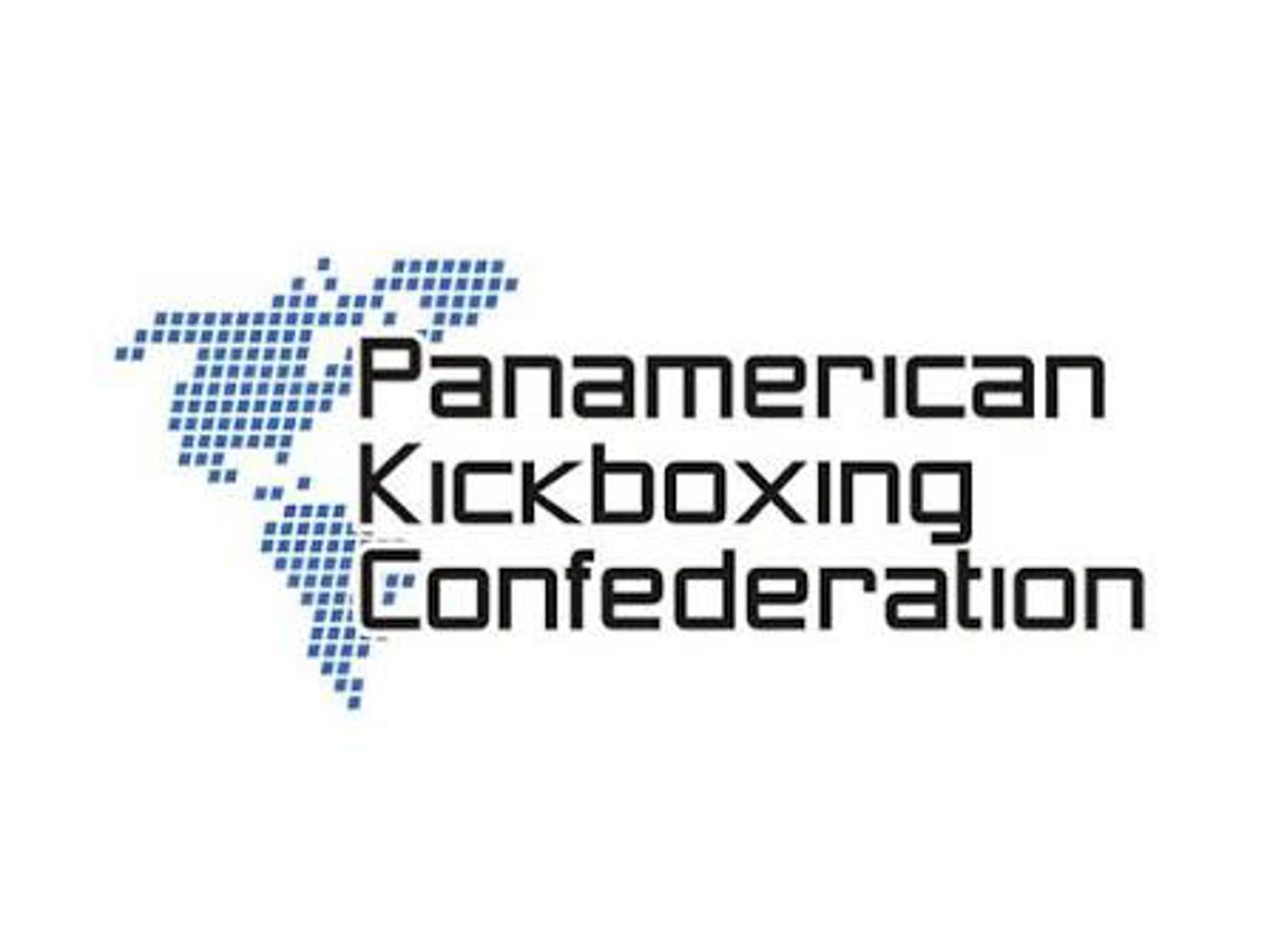 Asociación de Kickboxing de Santiago avanza en la capacitación institucional